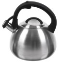 Чайник со свистком, нержавеющая сталь, 2,7 л, Daniks, индукция, стальной, M-085/ 397662