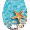 Сидение д/у  Океан LUX (Белое) с рисунком Морская звезда  (ЕК-406-10)